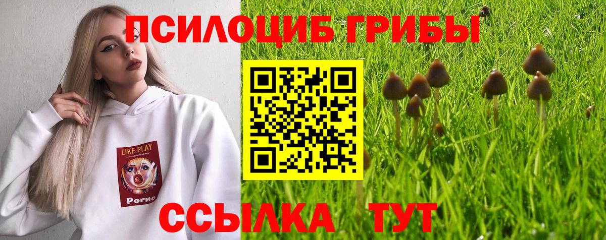 Псилоцибиновые грибы Psilocybine cubensis Ишимбай