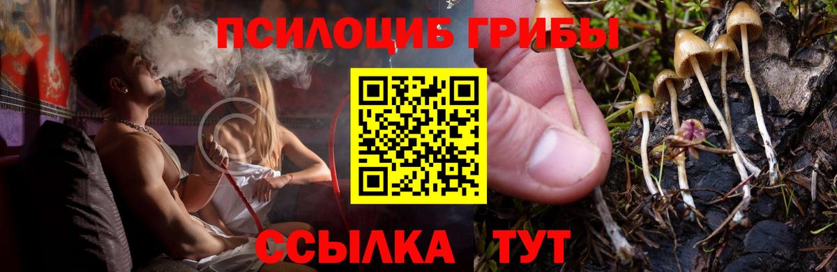 Псилоцибиновые грибы мухоморы  Вход с VPN  Ишимбай  Галлюциногенные грибы мухоморы 